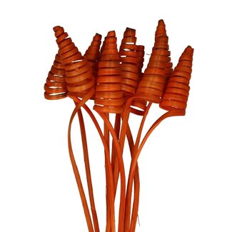 4A Palm spiral on shaft | Colour: Orange | Cane Cone auxiliary stake | Length ± 50 centimetre | Per 10 auxiliary stakes