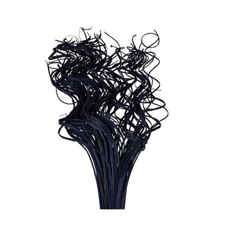 4A Getrocknet Palmblatt Nerv | Curly Ting Ting | Farbe: Lila | Trockendekoration | Länge ± 70 centimeter | Gewicht 200 gram | Pro Bund