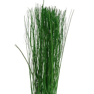 4A Gedroogde Yanagi Takken | Kleur: Appeltjesgroen | Droogdecoratie | Gewicht 250 gram | Lengte 85 centimeter | Per bos