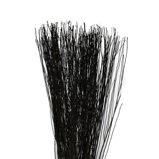 4A Branches Yanagi séchées | Couleur: Noir | Décoration sèche | Poids 250 gram | Longueur 85 centimeter | Par botte