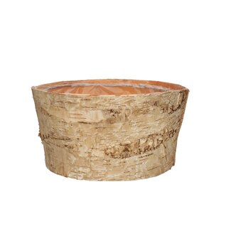 4A Berkenhouten Bloempot Plantenbak | Kleur: Lichtbruin | Diameter 24 centimeter | Hoogte 12 centimeter | Per 10 bakken