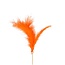 Feathers on stick | Colour: Orange | Feather teaser | Feather length 14 centimetre | Feather teaser length ± 50 centimetre | Per 25 feather teasers
