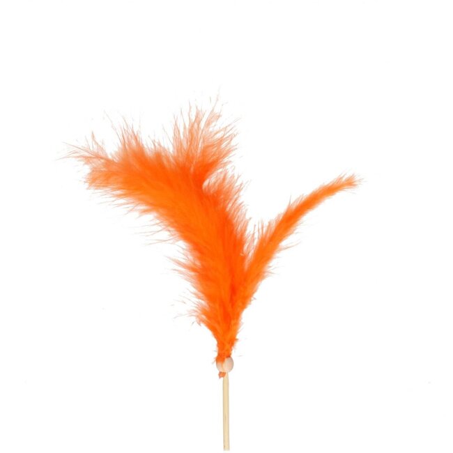 Feathers on stick | Colour: Orange | Feather teaser | Feather length 14 centimetre | Feather teaser length ± 50 centimetre | Per 25 feather teasers