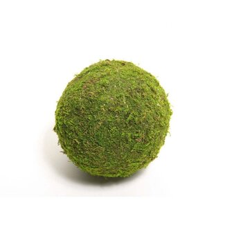 4A Gedroogde Mosbal | Kleur: Groen | Droogdecoratie | Diameter 20 centimeter | Per 12 ballen