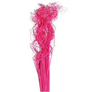 4A Getrocknetes Palmblattnerv | Curly Ting Ting | Farbe: Fuchsia | Trocken-Dekoration | Länge ± 70 centimeter | Gewicht 200 gram | Pro Bund