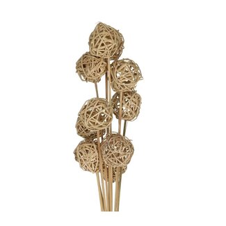 4A Rattan Ball am Stab | Farbe: Braun | Brunchball Blumenstecker | Durchmesser 5 centimeter | Länge ± 50 centimeter | Pro 10 Blumenstecker