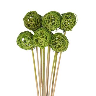 4A Rotin Boule sur tige | Couleur: Vert pomme | Boule brunch Pique | Diamètre 5 centimeter | Longueur ± 50 centimeter | Par 10 piques