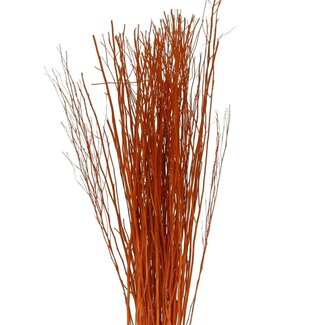 4A Gedroogde Yanagi Takken | Kleur: Oranje | Droogdecoratie | Gewicht 250 gram | Lengte 85 centimeter | Per bos