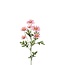 Daisy Artificial Flower | Colour: Pink | Bellis Perennis Artificial Flowers | Length ± 70 centimeter | Per 6 Artificial Flowers