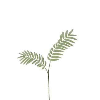 4A Palm Fern Artificial Branch | Colour: Green | Length ± 82 centimeter | Per 6 artificial branches