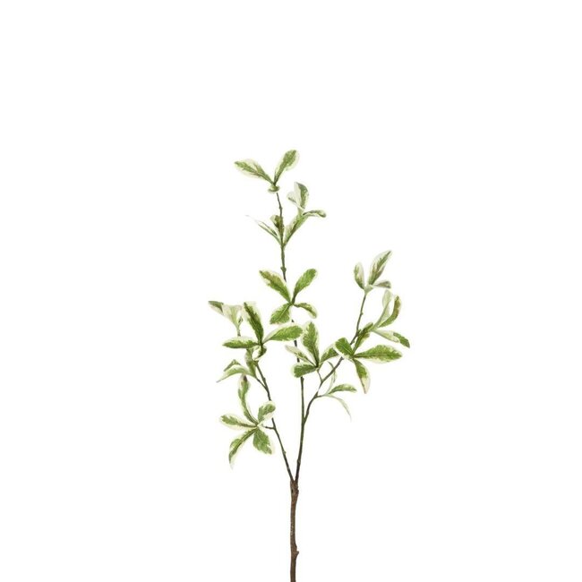 Green Leaf Artificial Branch | Colour: Green | Length ± 80 centimeter | Per 6 artificial branches