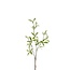Green Leaf Artificial Branch | Colour: Green | Length ± 80 centimeter | Per 6 artificial branches