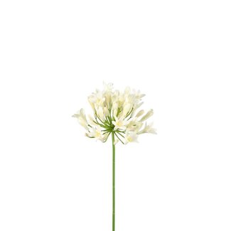 4A Afrikaanse Kaapse Lelie Kunstbloem | Kleur: Natuurlijk Wit | Agapanthus Kunstbloemen | Lengte ± 75 centimeter | Per 6 kunstbloemen