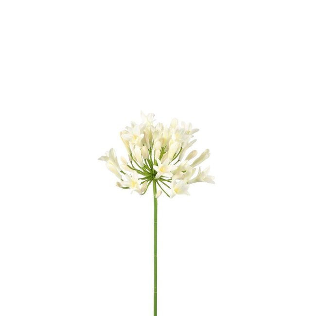 African Cape Lily Artificial Flower | Colour: Natural White | Agapanthus Artificial Flowers | Length ± 75 centimetre | Per 6 artificial flowers