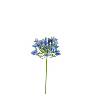 4A Afrikanische Kap-Lilie Kunstblume | Farbe: Hellblau | Agapanthus Kunstblumen | Länge ± 75 centimeter | Pro 6 Kunstblumen