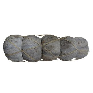 4A Gedroogde Gestreepte Kokosnoot | Kleur: Natuurlijk Wit | Droogdecoratie | Lengte 13 centimeter | Per 5 kokosnoten