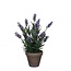 Lavendel Kunstpflanze mit Topf | Farbe: Blau | Lavendel Angustifolia Kunstpflanze | Durchmesser ± 11 - 20 centimeter | Höhe ± 33 centimeter | Pro 6 Kunstpflanzen
