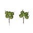 Apple Support Stake | Colour: Frosted Apple Green | Diameter 3 centimetre | Per 20 support stakes