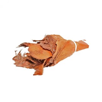 4A Écorce de palmier séchée Bakla | Couleur: Marron | Décoration sèche | 10 écorces par bouquet | Par bouquet