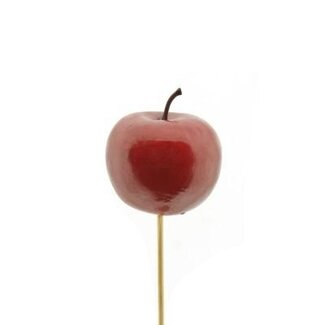 4A Appel op stok | Kleur: Rood | Diameter 6 centimeter | Lengte ± 50 centimeter | Per 25 bijstekers