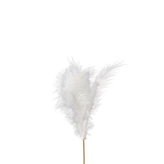 4A Feather floral pick | Colour: Natural White | Feather length 10 centimetres | Floral pick length ± 10 centimetres | Per 24 floral picks