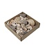 Mixed Shells | Colour: Light brown | Contents 500 gram | Per bag