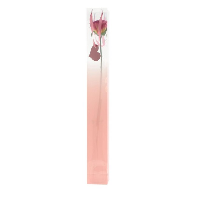 Tasje voor 1 Roos | Kleur: Lichtroze | Lengte 7 centimeter | Breedte 7 centimeter | Hoogte 60 centimeter | Per 10 tasjes