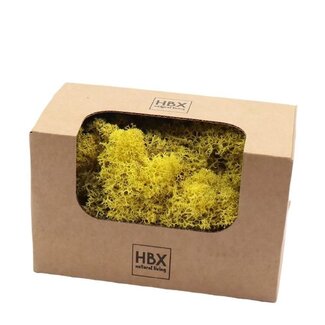 4A Preserved Reindeer Moss | Colour: Yellow | Dry decoration | Weight 50 gram | Per box