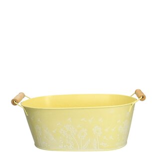 4A Bac en zinc Pot de fleurs Pot pour plante “Celo” | Couleur: Jaune | Longueur 25 centimeter | Largeur 15 centimeter | Hauteur 10 centimeter | Par 12 bacs