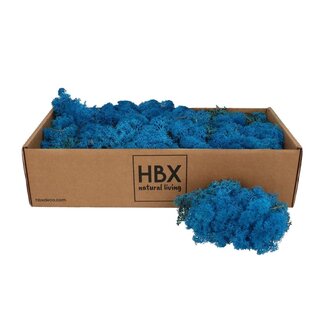 4A Konserviertes Rentiermoos | Farbe: Hellblau | Trockendekoration | Gewicht 400 - 500 gram | Pro Schachtel