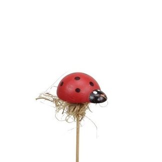 4A Ladybird Stake | Colour: Red | Diameter 3 centimeter | Length stake ± 20 centimeter | Per 72 stakes