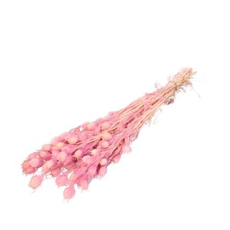 4A Preserved Baby's-breath | Colour: Light pink | Preserved Nigella | Length ± 55 centimetre | Per bunch