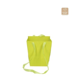 4A Cadeautasjes "Elegant” | Kleur: Appeltjesgroen | Breedte 12.5 - 16.5 centimeter | Hoogte 18 centimeter | Per 10 tassen
