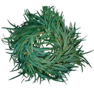 4A Gepreserveerde Eucalyptus Berry Krans | Kleur: Groen | Diameter 35 centimeter | Per krans