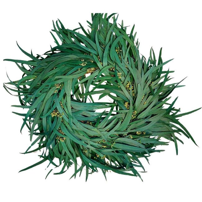 Preserved Eucalyptus Berry Wreath | Colour: Green | Diameter 35 centimetre | Per wreath