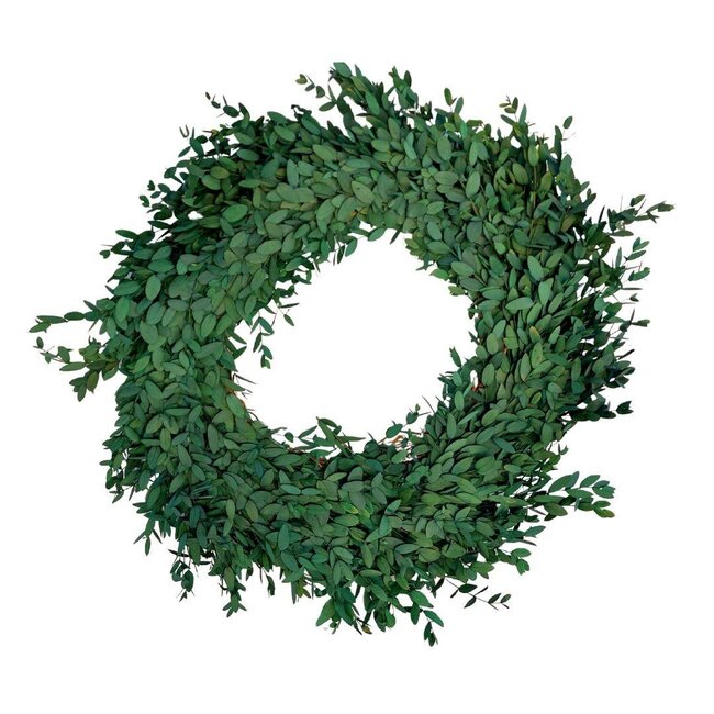 Konservierte Eucalyptus Parvifolia Kranz | Farbe: Grün | Durchmesser 35 centimeter | Pro Kranz