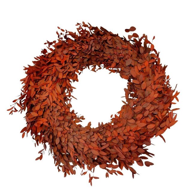 Gepreserveerde Eucalyptus Parvifolia Krans | Kleur: Rood | Diameter 35 centimeter | Per krans