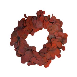 4A Gepreserveerde Eucalyptus Populus Krans | Kleur: Rood | Diameter 35 centimeter | Per krans