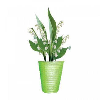 4A Potcover Muguet Lelietje-van-Dalen “Harmony” | Kleur: Lichtgroen | Diameter 10.5 centimeter | Hoogte 12.5 centimeter | Per 20 potcovers
