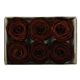 4A Preserved Rose | Colour: Brown | Diameter 6 centimeter | Per 6 roses