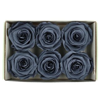 4A Gepreserveerde Rozen | Kleur: Grijs | Diameter 6 centimeter | Per 6 rozen