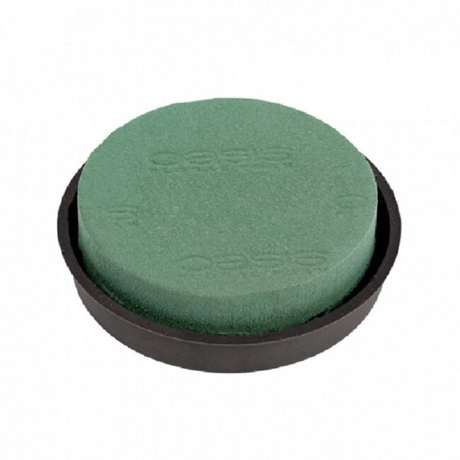 Oasis Posy Pad Naylorbase | Colour: Green | Diameter 31 centimeter | Per 2 holders