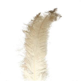 4A Ostrich Feathers | Colour: Cream-coloured | Length 55 centimetre | Per 5 feathers