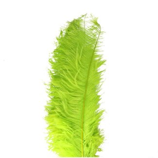 4A Struisvogel Veren | Kleur: Groen | Lengte 55 centimeter | Per 5 veren