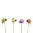 Ladybird Skewer | Colour: Mixed Colours | Diameter 2.5 centimetre | Skewer length ± 20 centimetre | Per 72 skewers