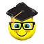 Party! Ballon “Emoji” | Farbe: Gelb | Durchmesser 45 centimeter | Pro 10 Ballons