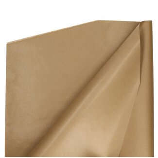4A Papier kraft brun Feuille biseautée | Couleur: Brun | Longueur 62 centimeter | Largeur 95 centimeter | Par 21 feuilles