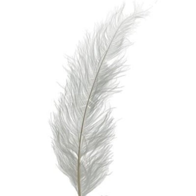 Struisvogel Veren | Kleur: Natuurlijk Wit | Lengte 55 centimeter | Per 5 veren