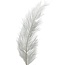 Struisvogel Veren | Kleur: Natuurlijk Wit | Lengte 55 centimeter | Per 5 veren