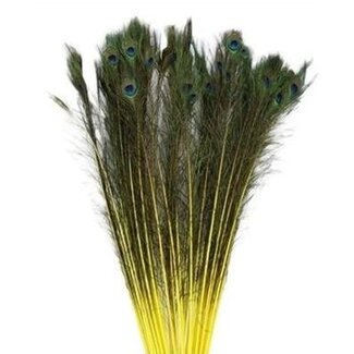 4A Pauw Veren | Kleur: Geel | Lengte 100 centimeter | Per 10 veren